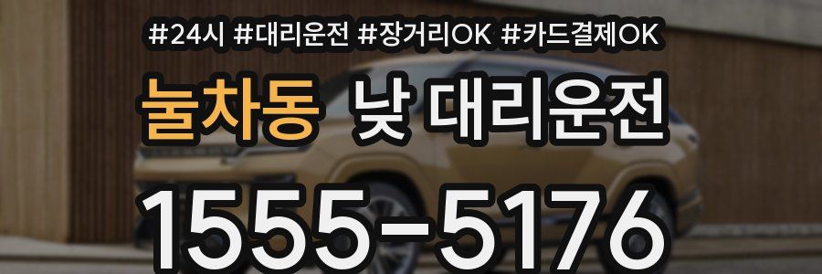 눌차동 낮 대리운전