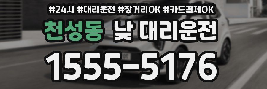 천성동 낮 대리운전