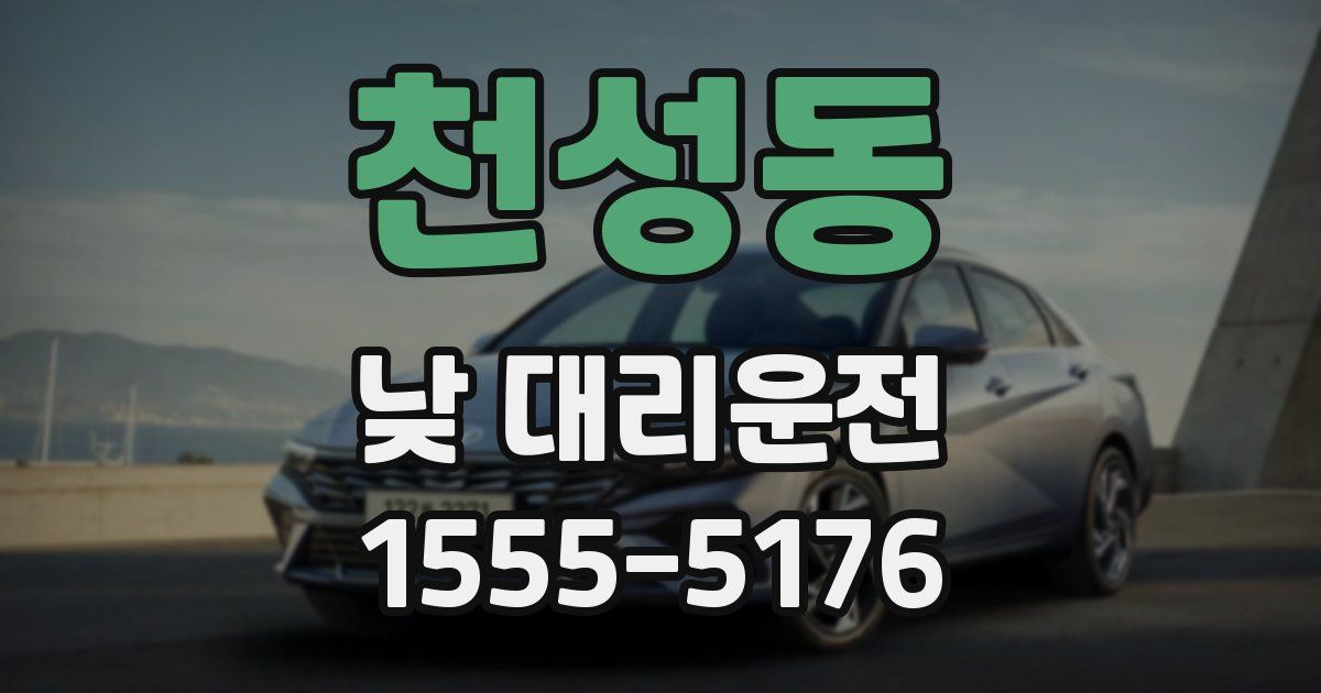 천성동 낮 대리운전