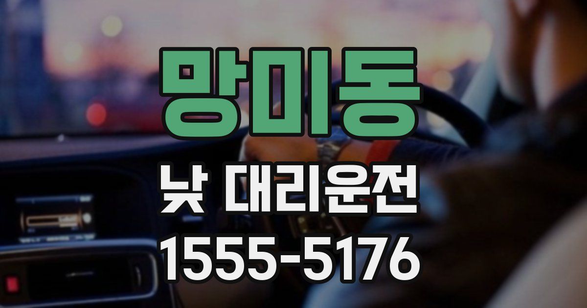 망미동 낮 대리운전