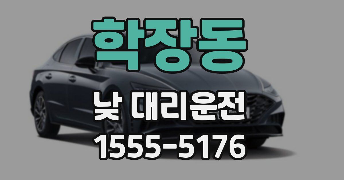 학장동 낮 대리운전