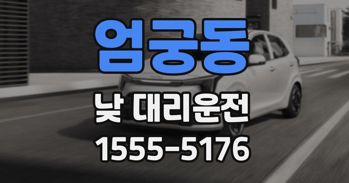 엄궁동 낮 대리운전