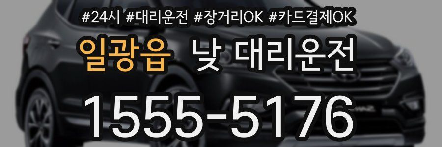 일광읍 낮 대리운전
