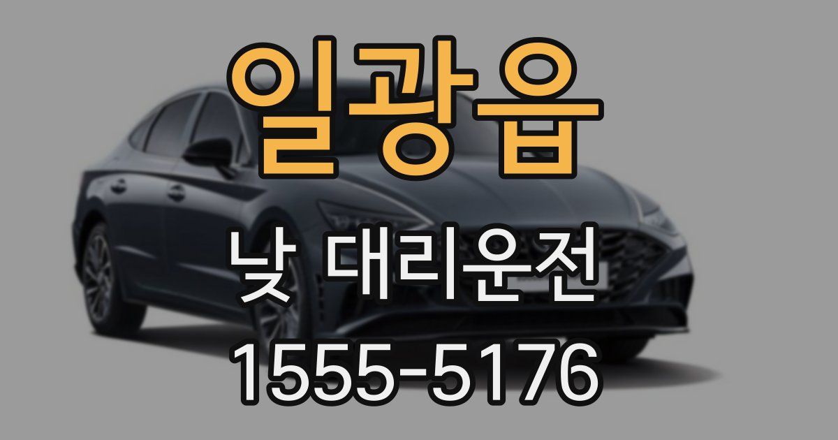 일광읍 낮 대리운전