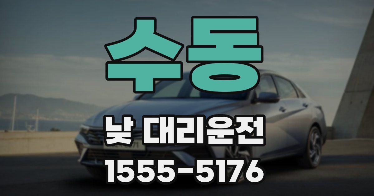 수동 낮 대리운전