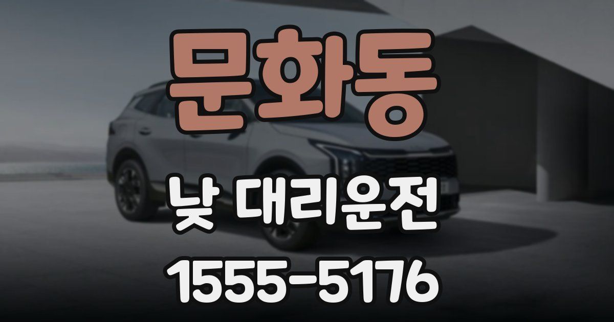 문화동 낮 대리운전