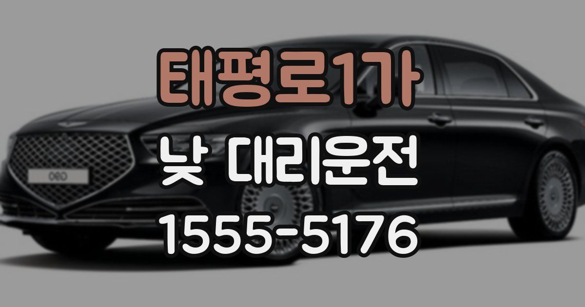 태평로1가 낮 대리운전