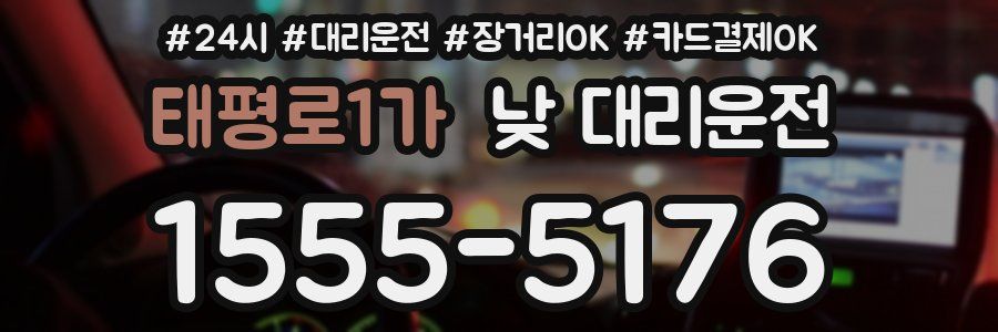 태평로1가 낮 대리운전
