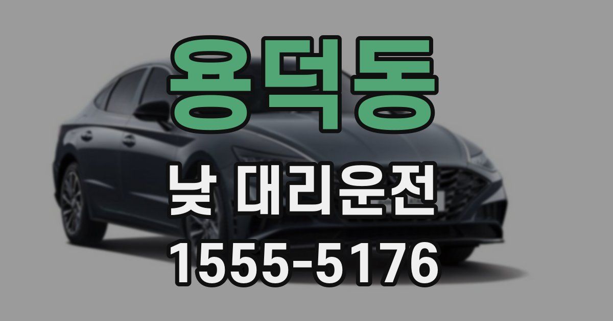 용덕동 낮 대리운전