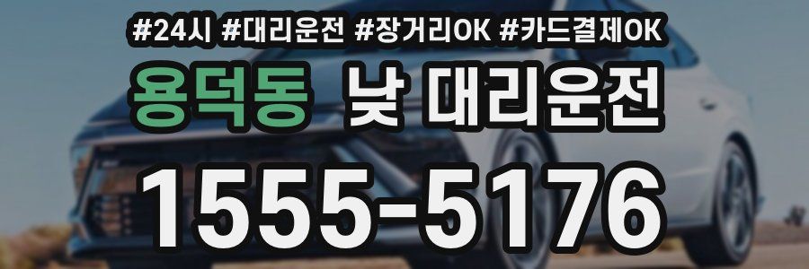 용덕동 낮 대리운전