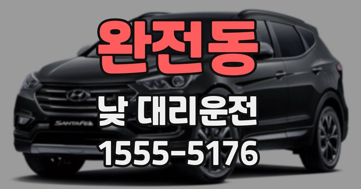 완전동 낮 대리운전