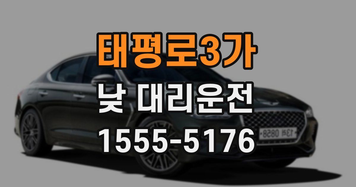 태평로3가 낮 대리운전