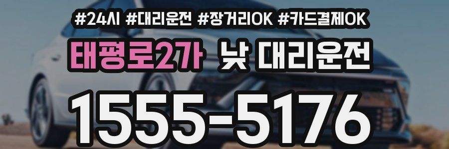 태평로2가 낮 대리운전