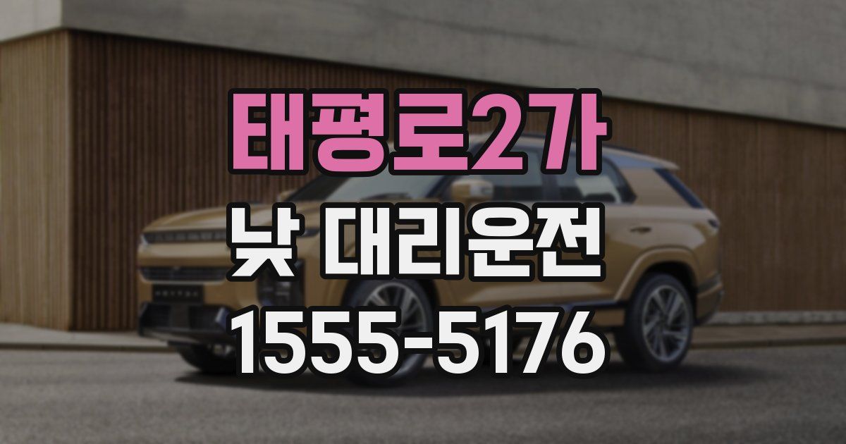 태평로2가 낮 대리운전