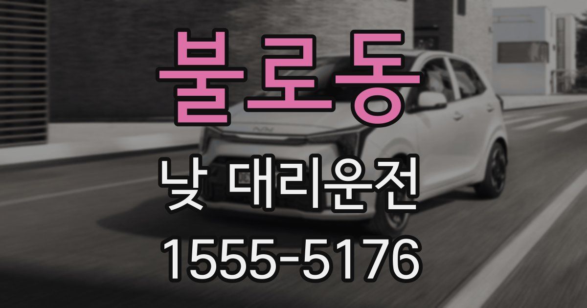 불로동 낮 대리운전