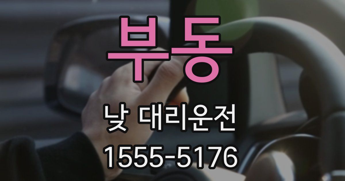 부동 낮 대리운전