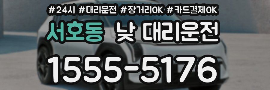 서호동 낮 대리운전