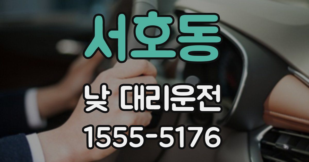 서호동 낮 대리운전