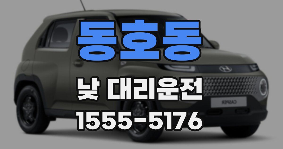 동호동 낮 대리운전