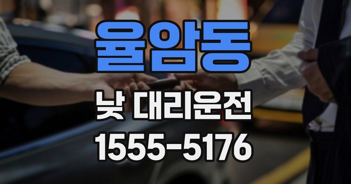 율암동 낮 대리운전
