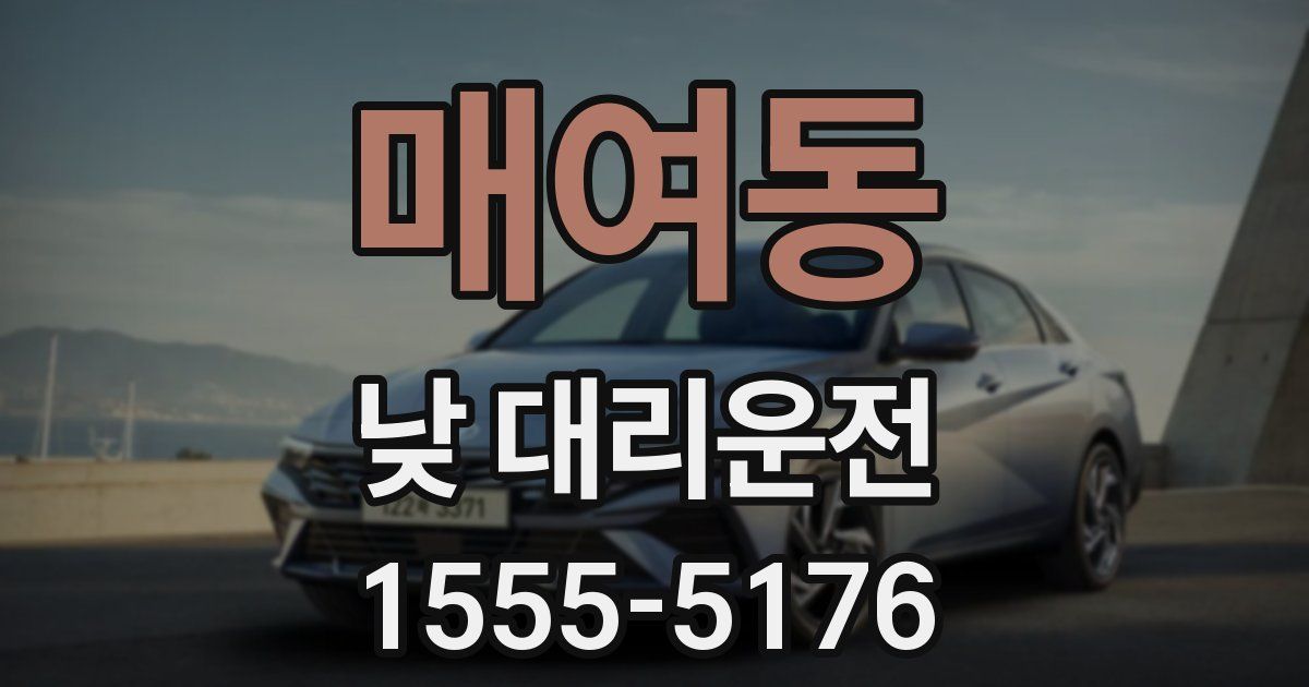 매여동 낮 대리운전