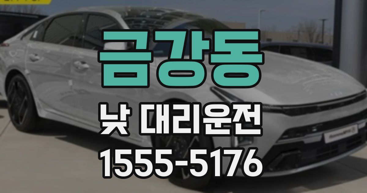 금강동 낮 대리운전