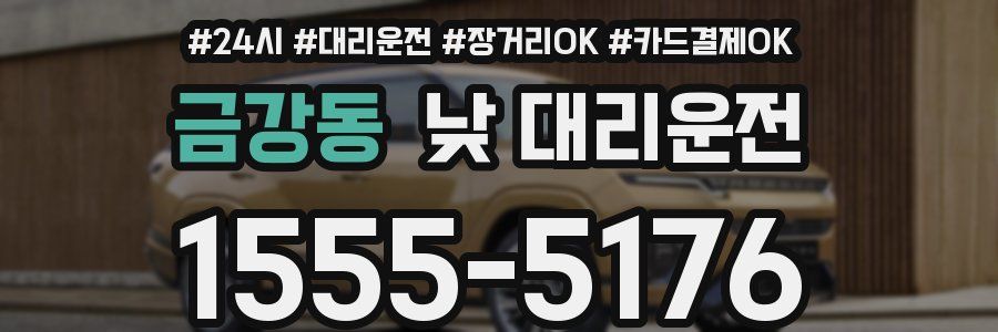 금강동 낮 대리운전