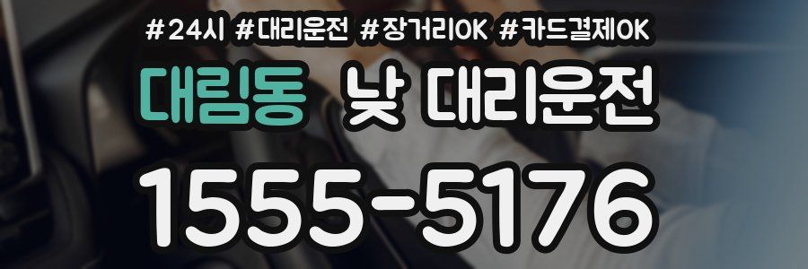 대림동 낮 대리운전