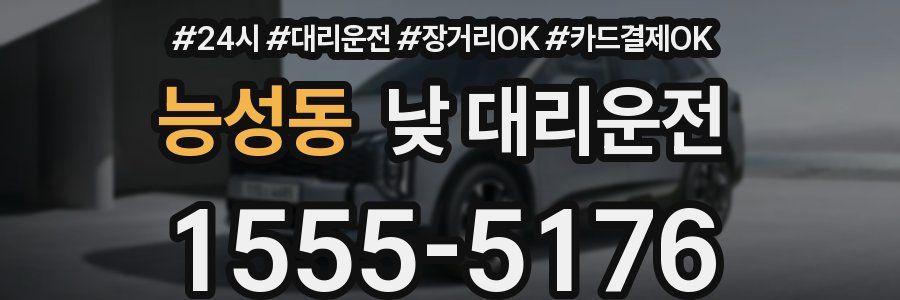 능성동 낮 대리운전