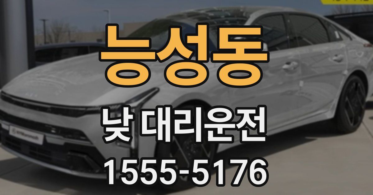 능성동 낮 대리운전