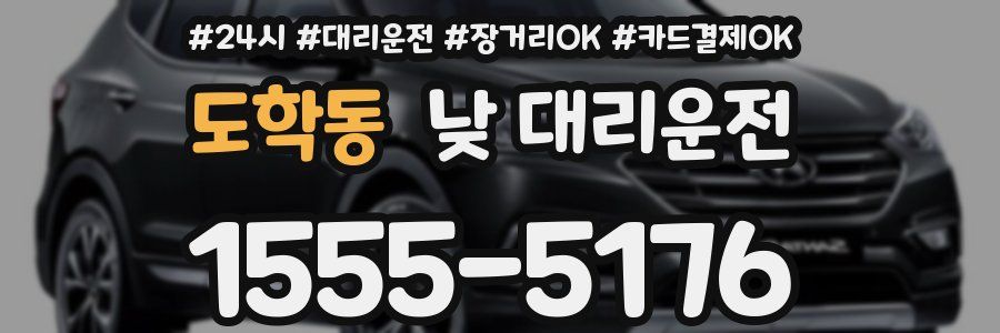 도학동 낮 대리운전