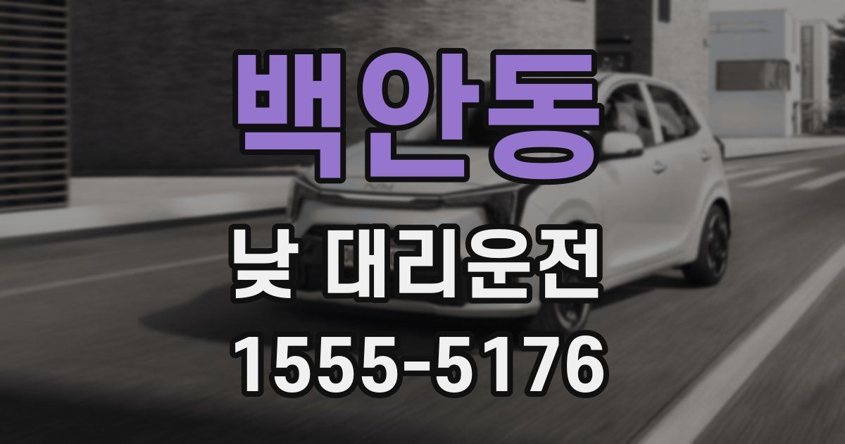 백안동 낮 대리운전