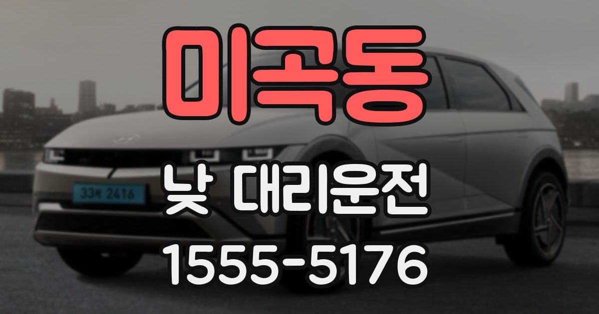미곡동 낮 대리운전