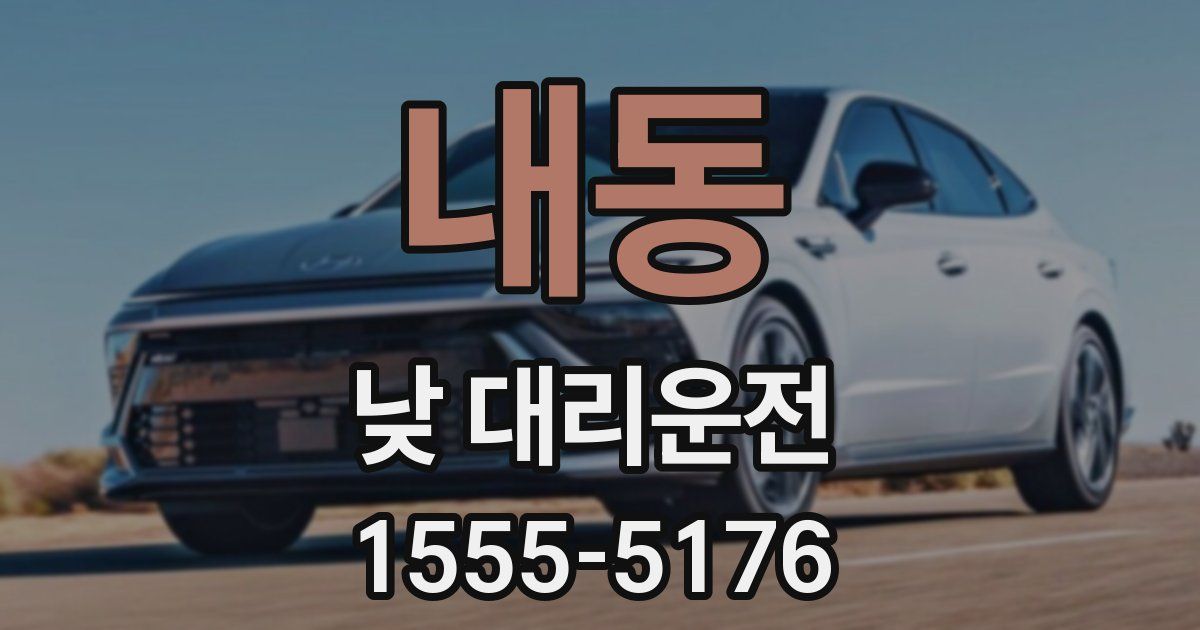 내동 낮 대리운전