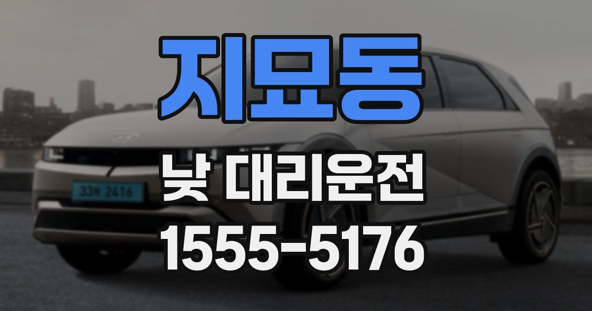 지묘동 낮 대리운전