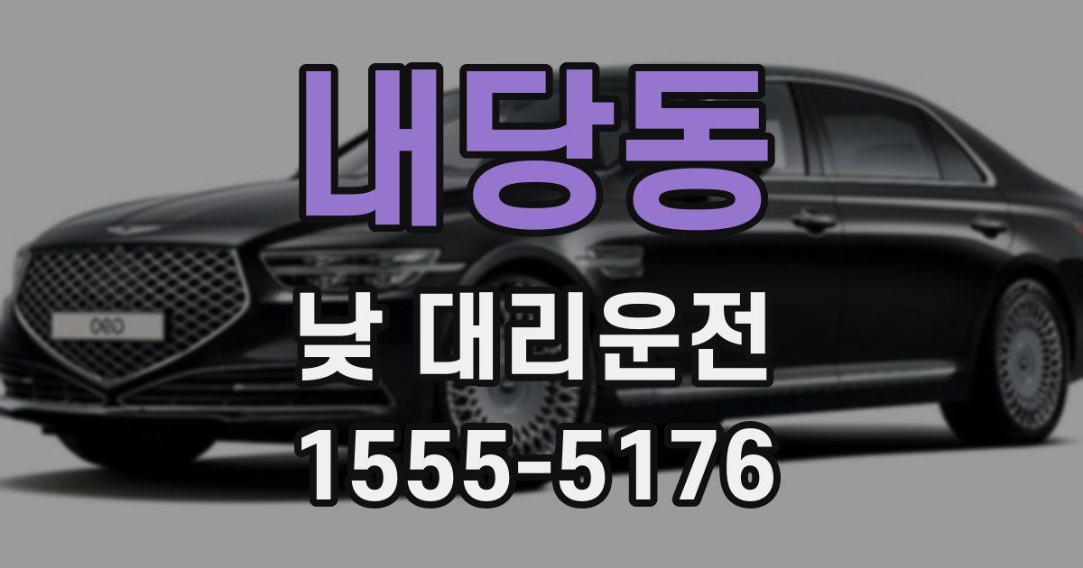 내당동 낮 대리운전