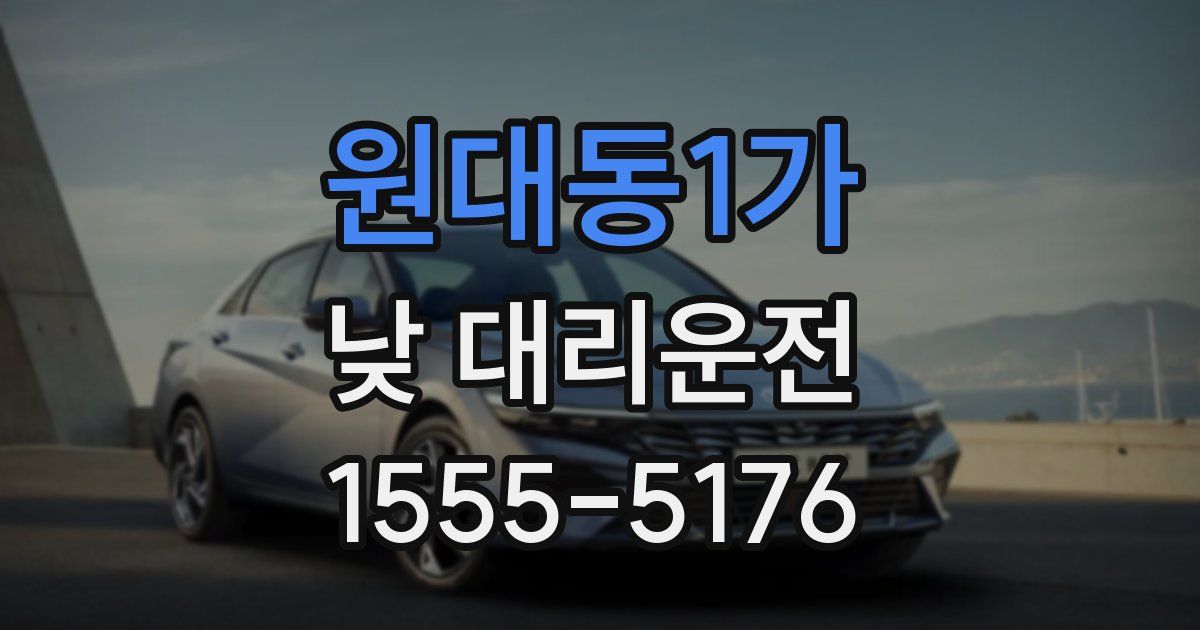 원대동1가 낮 대리운전