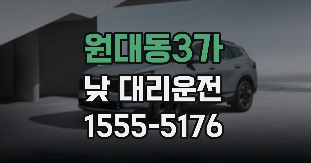 원대동3가 낮 대리운전