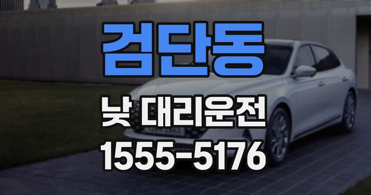 검단동 낮 대리운전