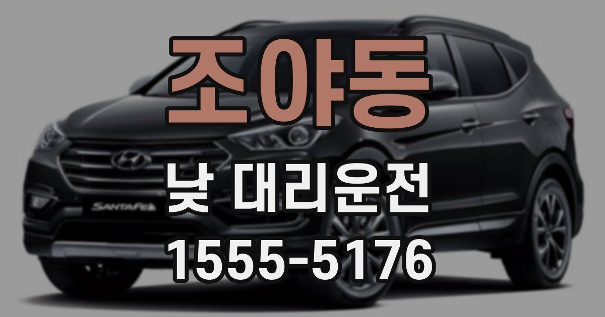 조야동 낮 대리운전