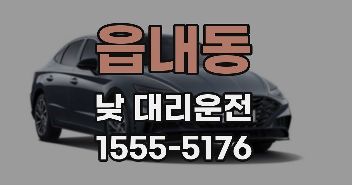 읍내동 낮 대리운전
