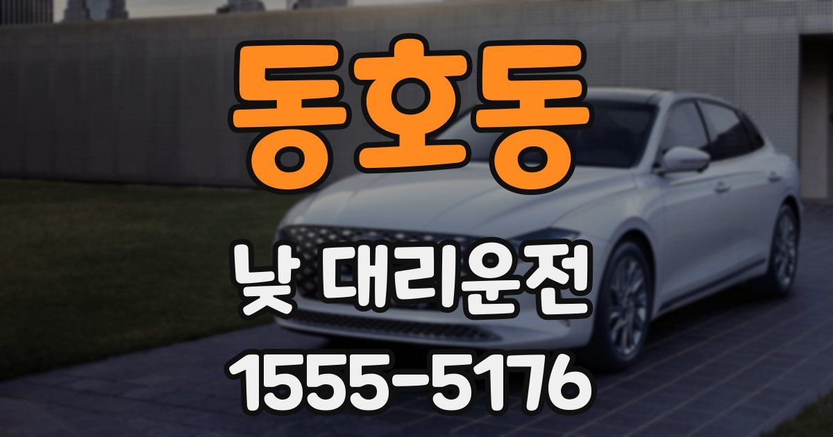 동호동 낮 대리운전