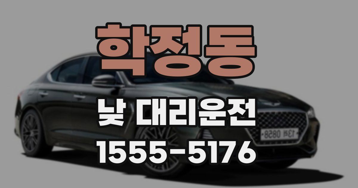 학정동 낮 대리운전