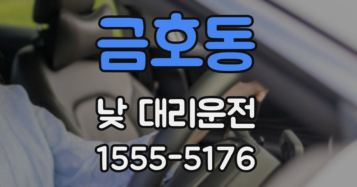 금호동 낮 대리운전