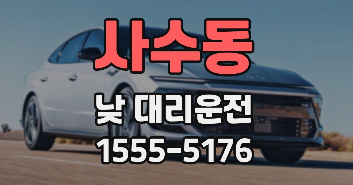 사수동 낮 대리운전