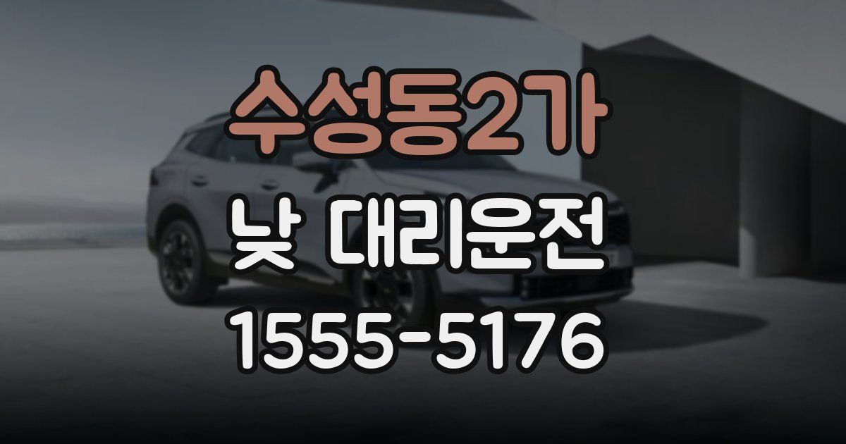 수성동2가 낮 대리운전
