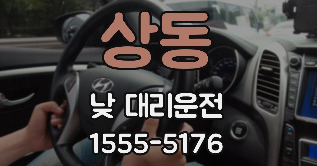 상동 낮 대리운전