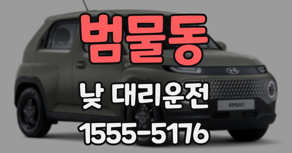 범물동 낮 대리운전
