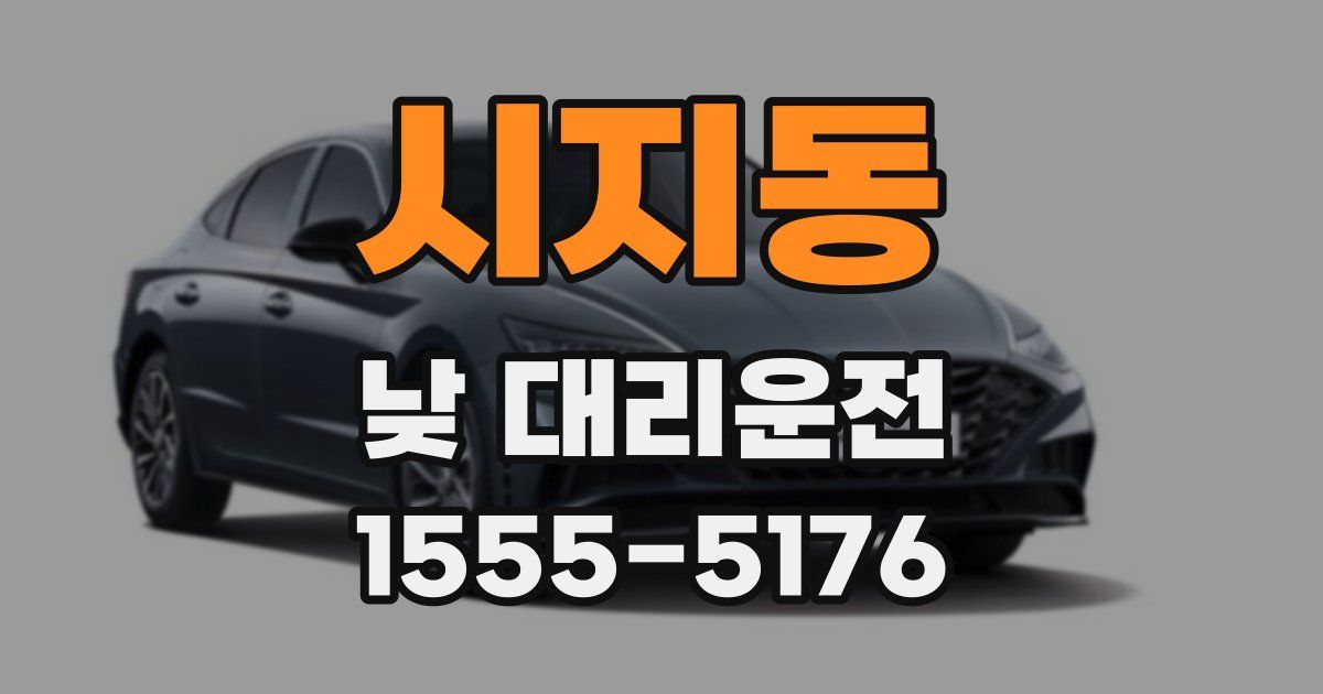 시지동 낮 대리운전