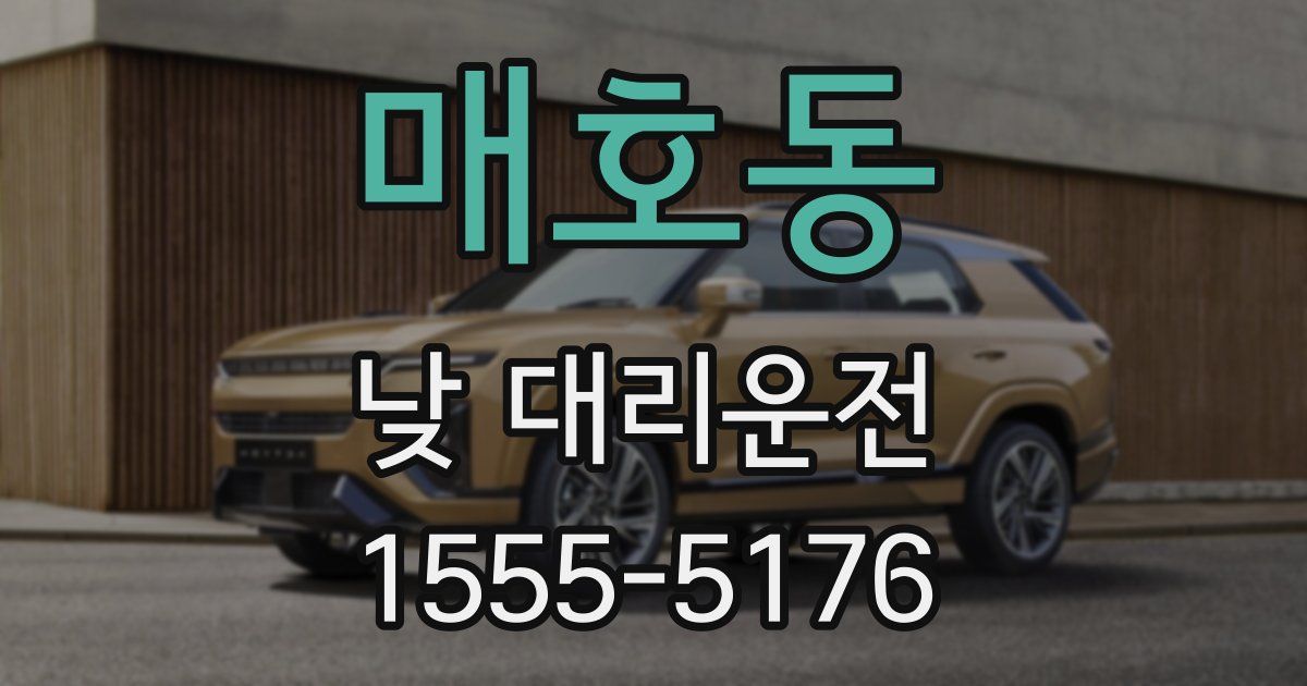 매호동 낮 대리운전